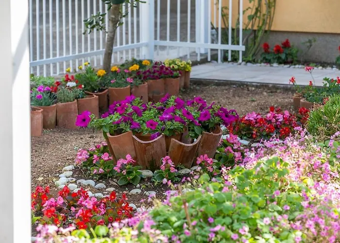 Appartement Varezic *